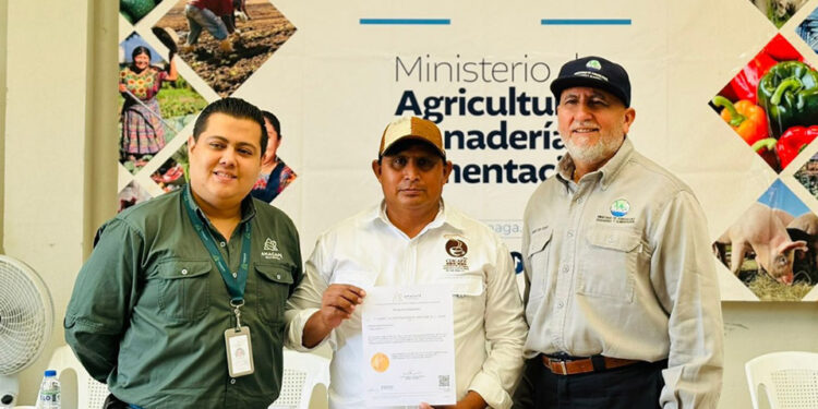 Cooperativa de cafetaleros obtiene licencia de productor exportador