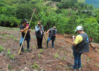 Crean barreras vivas para mejorar suelos