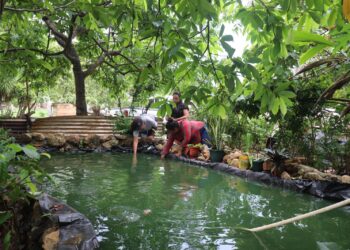 De una pila a ocho estanques de tilapia