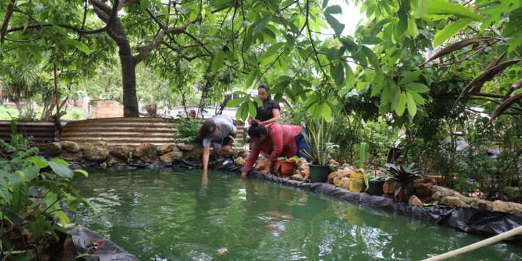 De una pila a ocho estanques de tilapia
