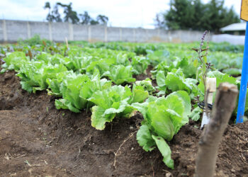 Disminuyen lluvias en algunos departamentos del país