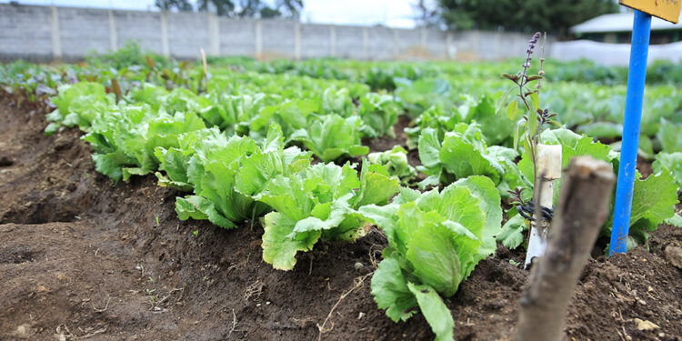 Disminuyen lluvias en algunos departamentos del país