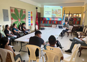 El desarrollo social se fomenta por medio de alimentos por acción