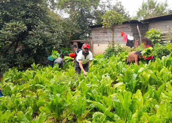 En Sacatepéquez colectan primera cosecha del huerto escolar