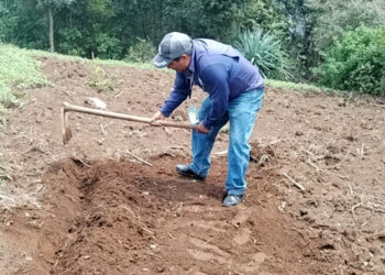 En San Marcos aprenden de agricultura orgánica