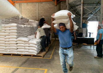 Entregan alimentos a familias afectadas por incendios forestales