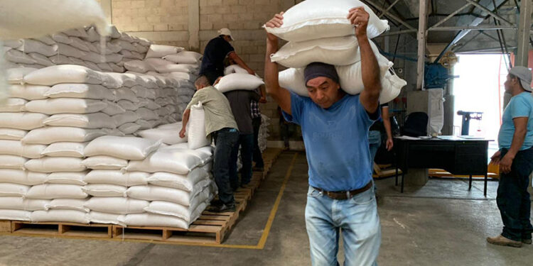 Entregan alimentos a familias afectadas por incendios forestales