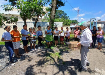 Entregan insumos y brindan capacitación de avicultura en Suchitepéquez