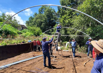 Entregan invernaderos para cultivo de flores en Sibinal
