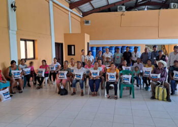 Familias de El Progreso reciben semillas de maíz