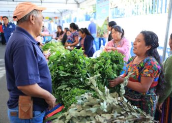 Feria del Agricultor lleva a los departamentos productos frescos a precios accesibles