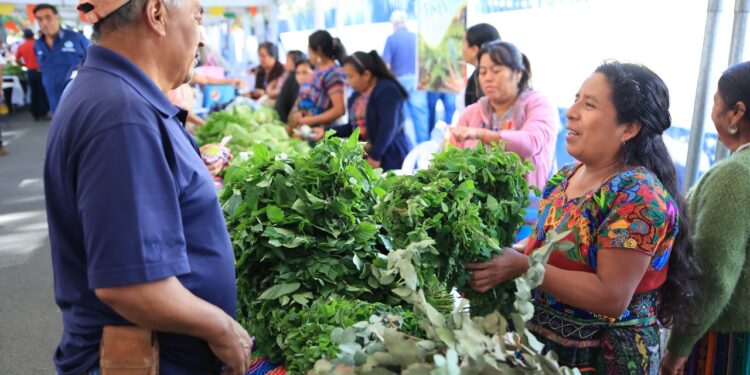 Feria del Agricultor lleva a los departamentos productos frescos a precios accesibles