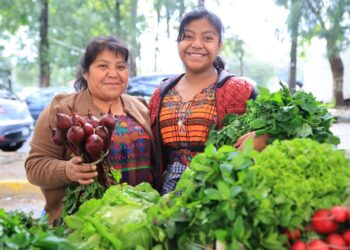 Feria del Agricultor ofrecerá productos del campo a precios accesibles