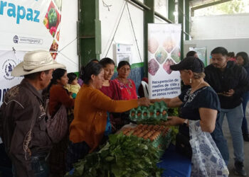 Ferias del Agricultor reúnen a 185 productores en Izabal, Alta Verapaz y Suchitepéquez