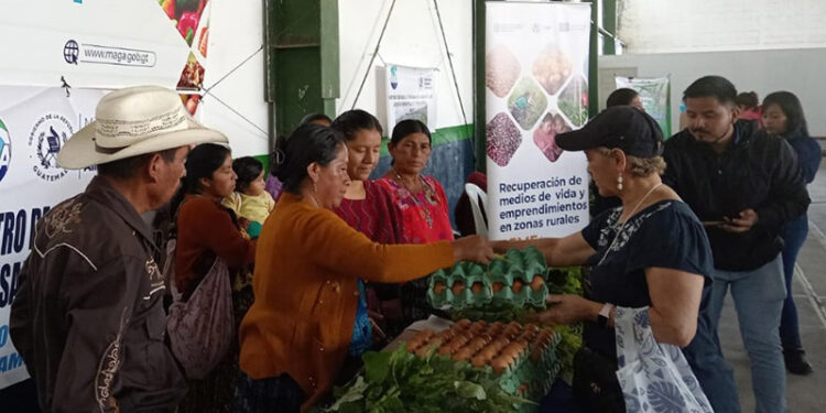 Ferias del Agricultor reúnen a 185 productores en Izabal, Alta Verapaz y Suchitepéquez