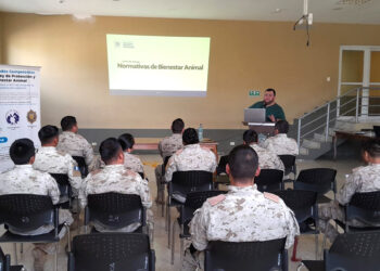 Fortalecen competencias para la protección del bienestar animal