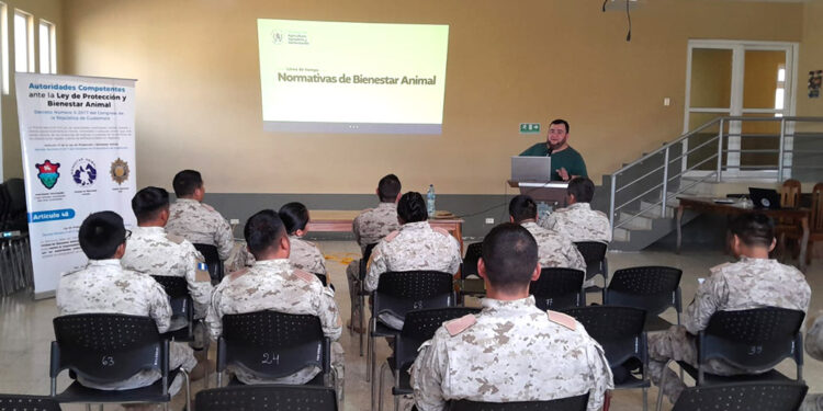 Fortalecen competencias para la protección del bienestar animal