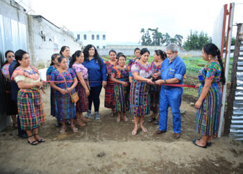 Fortalecen el acceso de alimentos con los huertos comunitarios