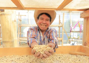 Fortalecen la cadena de valor del café