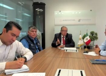 Guatemala y México fortalecen acciones contra el gusano barrenador