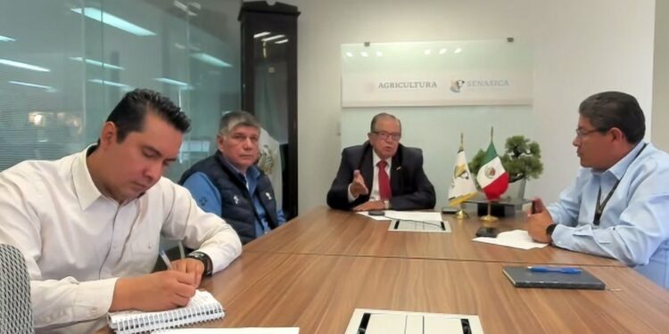 Guatemala y México fortalecen acciones contra el gusano barrenador