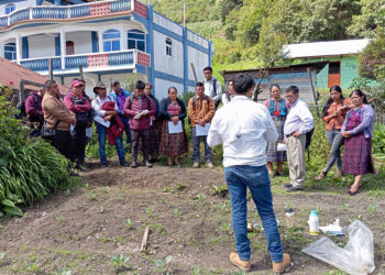 Huehuetenango siembra futuro más saludable
