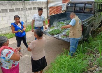 Huertos Familiares ofrecen acceso y disponibilidad de alimentos