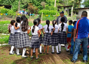 Implementan Huertos Escolares en San Marcos