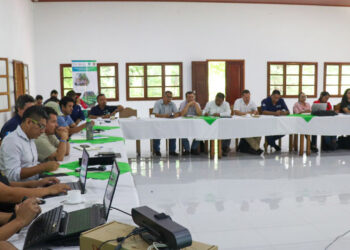 Impulsan actividades Agroforestales en el sur de Petén