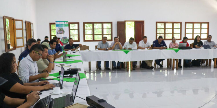 Impulsan actividades Agroforestales en el sur de Petén