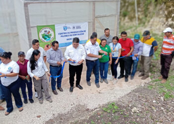 Inauguran Invernadero Hortícola en Petén