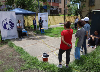Jornada de vacunación a felinos en zona 21 capitalina