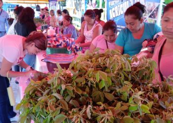 Patulul celebra Feria del Agricultor