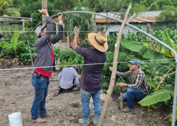 Producción de cultivos en condiciones controladas