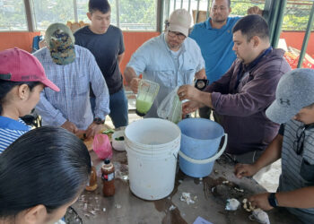 Producen biopesticida orgánico