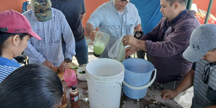 Producen biopesticida orgánico