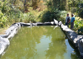 Productores de tilapia reciben apoyo para comercializar sus productos