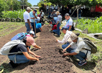 Promueven educación alimentaria con Huertos Escolares
