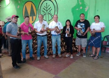 Promueven la diversificación de cultivos en Palín, Escuintla