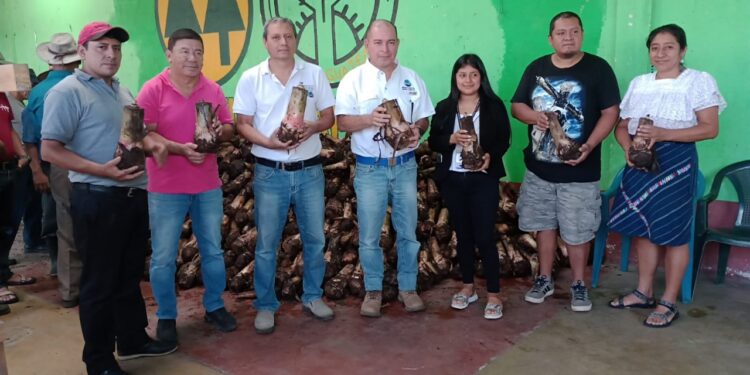 Promueven la diversificación de cultivos en Palín, Escuintla