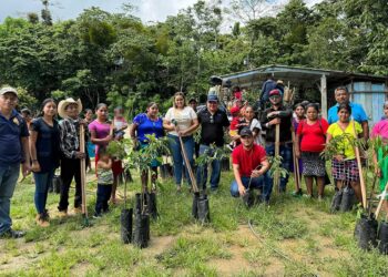 Reciben semillas de hortalizas, arboles de aguacate Hass y herramientas de cuidados agrícolas