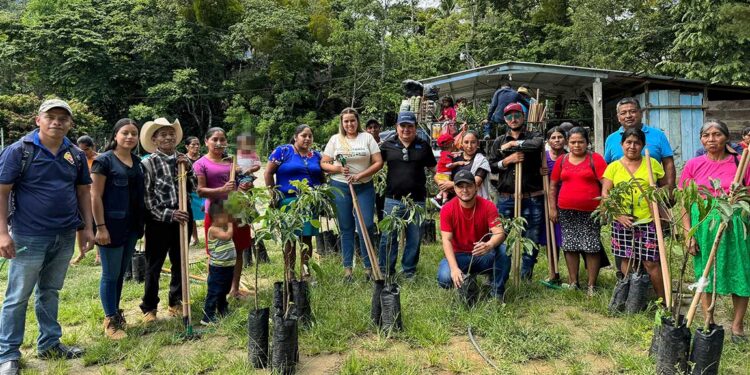 Reciben semillas de hortalizas, arboles de aguacate Hass y herramientas de cuidados agrícolas