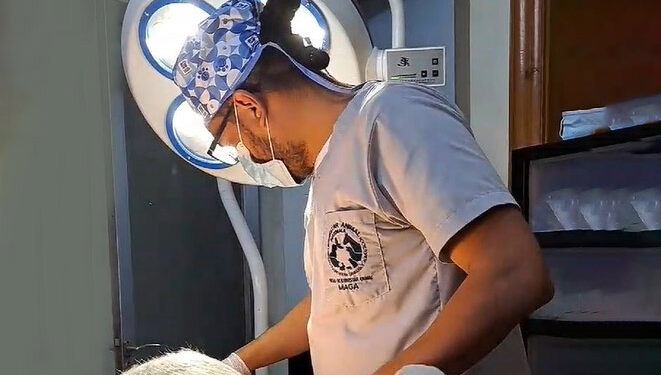 Segunda fase de castraciones y esterilizaciones por el bienestar animal