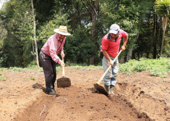 Territorios agrícolas pueden experimentar condiciones asociadas a la canícula