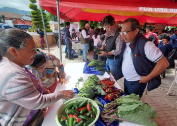 Un éxito las Ferias del Agricultor en San Marcos y Sololá