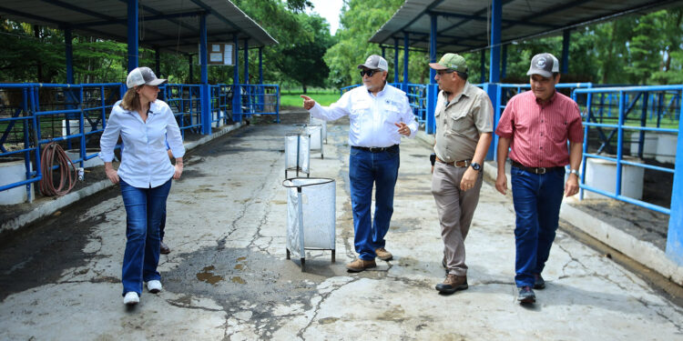 Visitan finca de ganadería sostenible