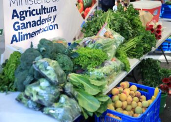 Lunes y martes son las próximas fechas de la Feria del Agricultor