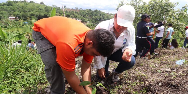 Se realiza jornada de reforestación en Petén