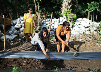 Agradecen apoyo al programa Pro-Resiliencia