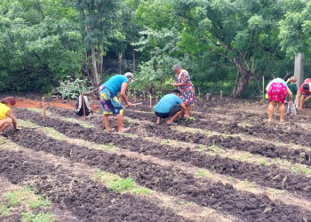 Agricultoras peteneras reciben asistencia técnica